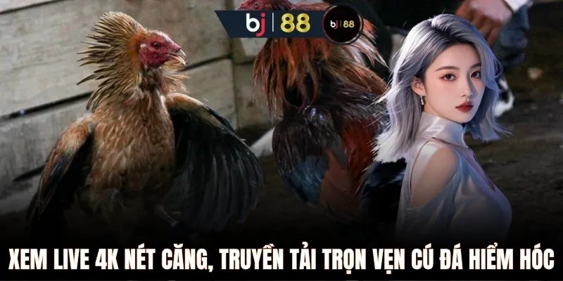 Xem live 4K nét căng, truyền tải trọn vẹn cú đá hiểm hóc